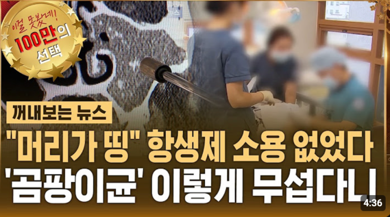 항생제도 소용없다? 치명률 49% '곰팡이균 부비동염'의 공포