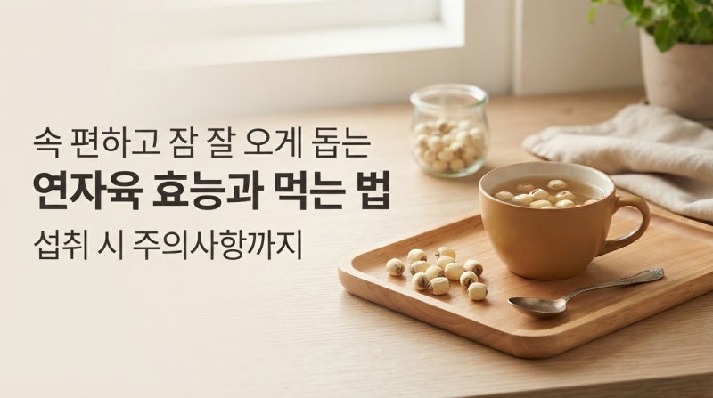 왕의 보약이라는 연자육, 소화·수면 신경 쓰인다면 혈당·혈관 효능부터 먹는 법까지