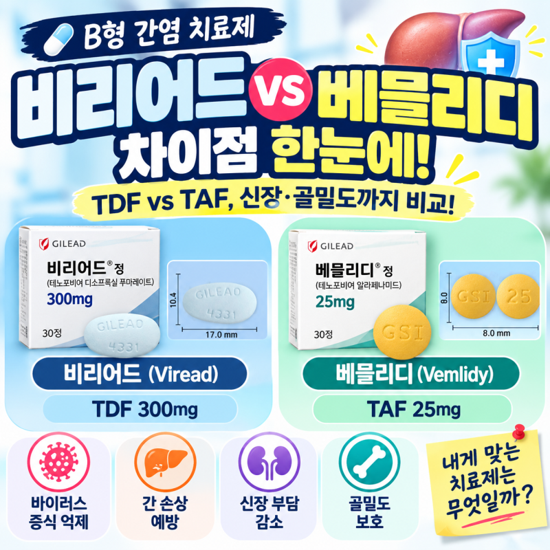 [B형 간염 치료제] 베믈리디가 비리어드보다 신장·뼈에 유리한 이유｜TDF < TAF