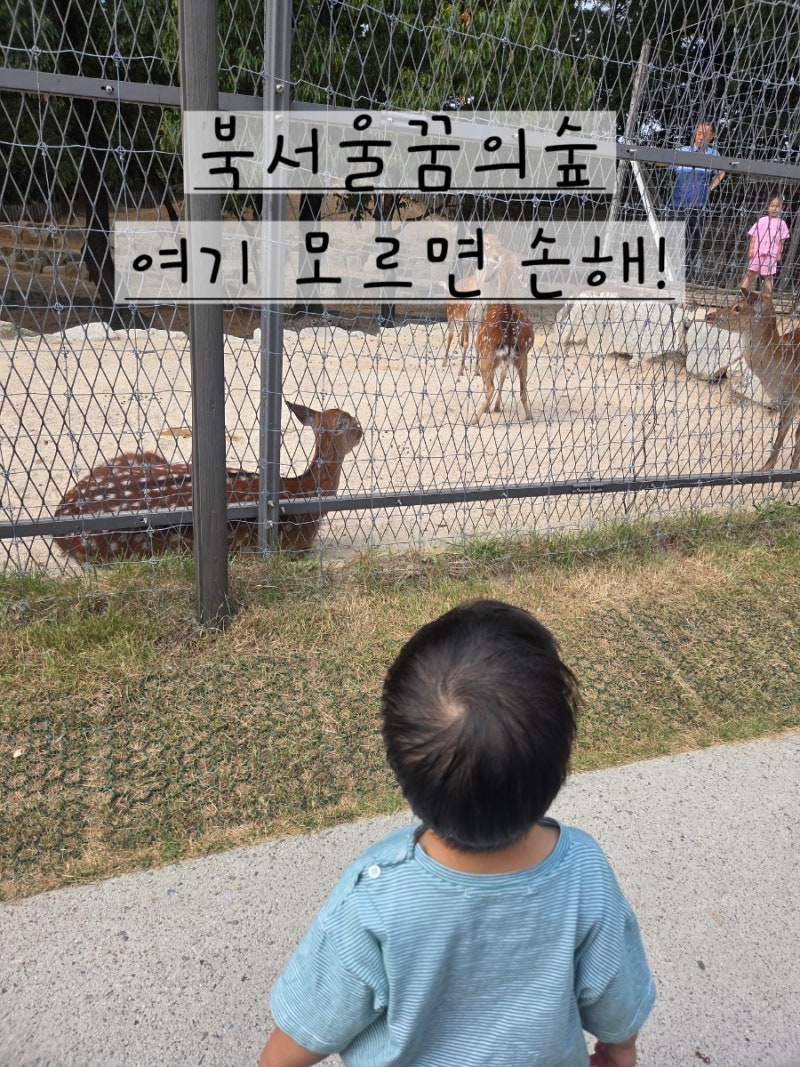 북서울꿈의숲 아이랑 간다면 여기부터! 주차장 바로 연결된 숨은 놀이터