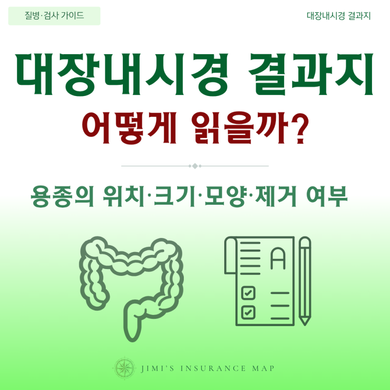 대장내시경 결과지, 용종의 위치·크기·모양·제거 여부는 어떻게 읽을까?