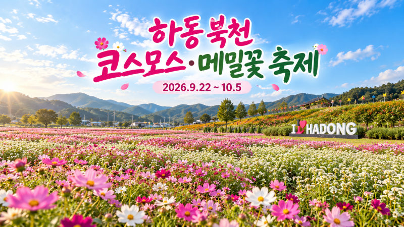 2026 하동 북천 코스모스 메밀꽃 축제…일정·입장료·주차 총정리