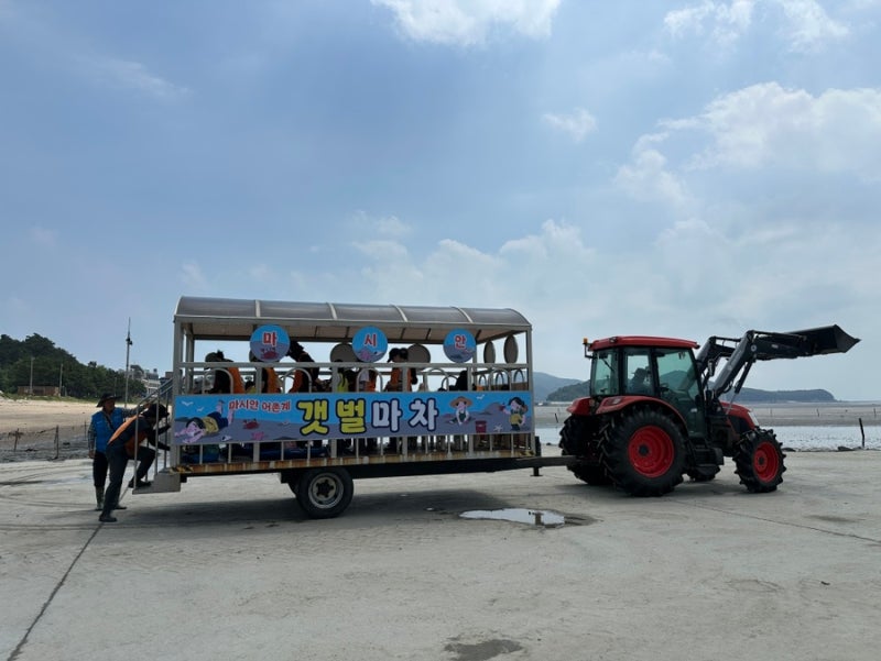 아이랑 영종도 갯벌처험 | 마시안 갯벌체험 / 마시란베이 펜션 / 불티나조개구이