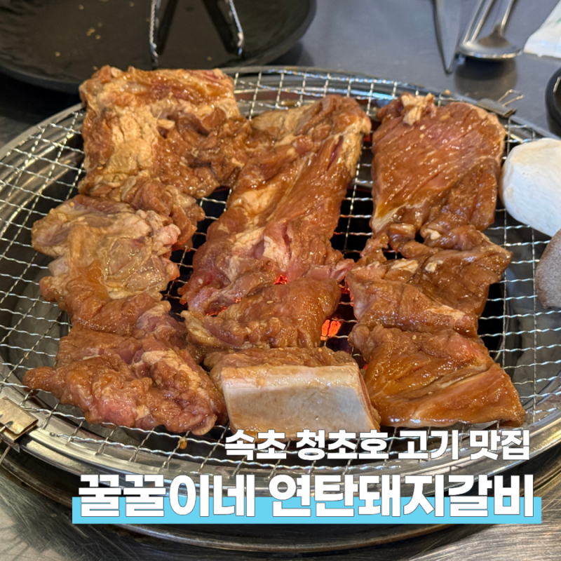 속초 조양동 맛집 고기집 꿀꿀이네 연탄돼지갈비
