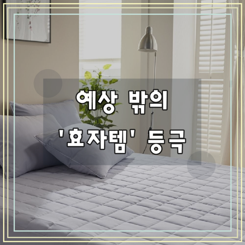 리빙밸류 파스텔 사계절 누빔 매트리스커버 침대패드 all0422sB
