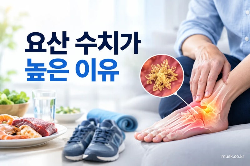 요산 수치가 높은 이유와 검사 결과를 해석할 때 확인할 점