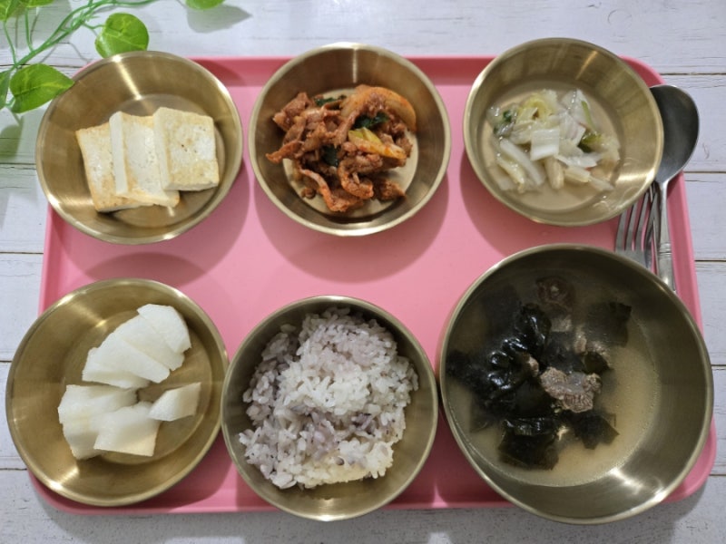 91세 어머님 퇴원 후 식단 기록 (5) 환우 맞춤 밥상 담즙 배액관·당뇨 환자 집밥 기록