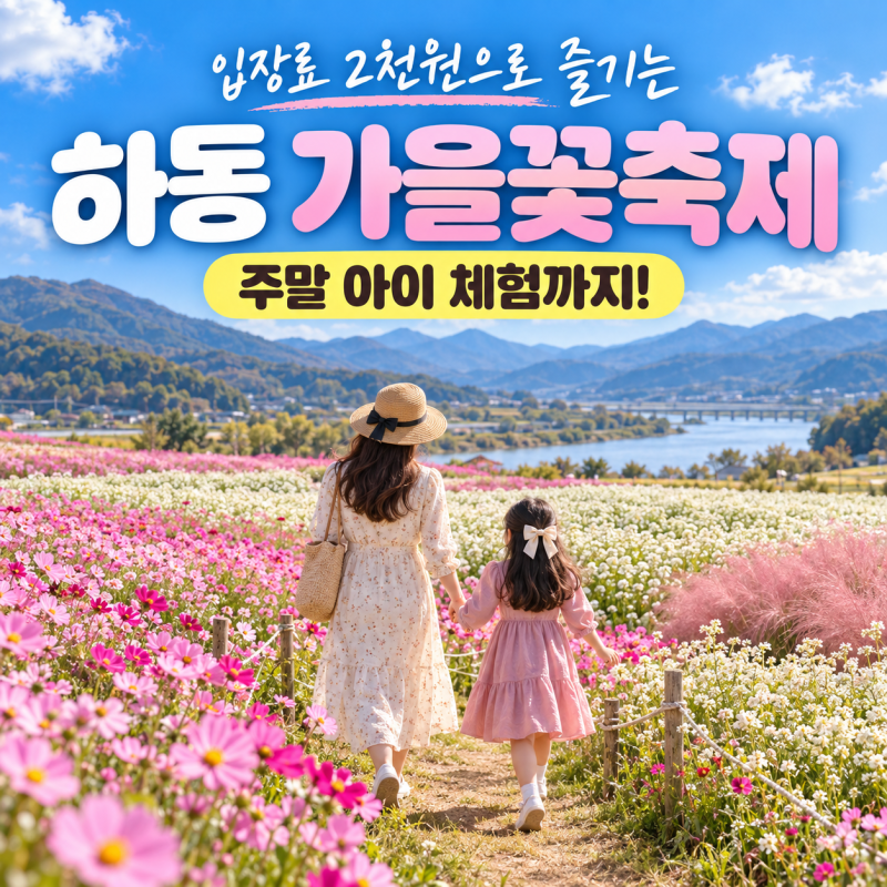 하동 북천 코스모스메밀꽃축제 2026 일정 입장료, 주말 아이 체험 총정리