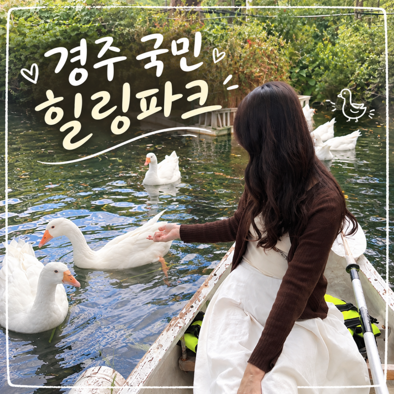 [경주 산내] 국민힐링파크 | 카누타고 만난 거위와 오리들 경주 가볼만한곳