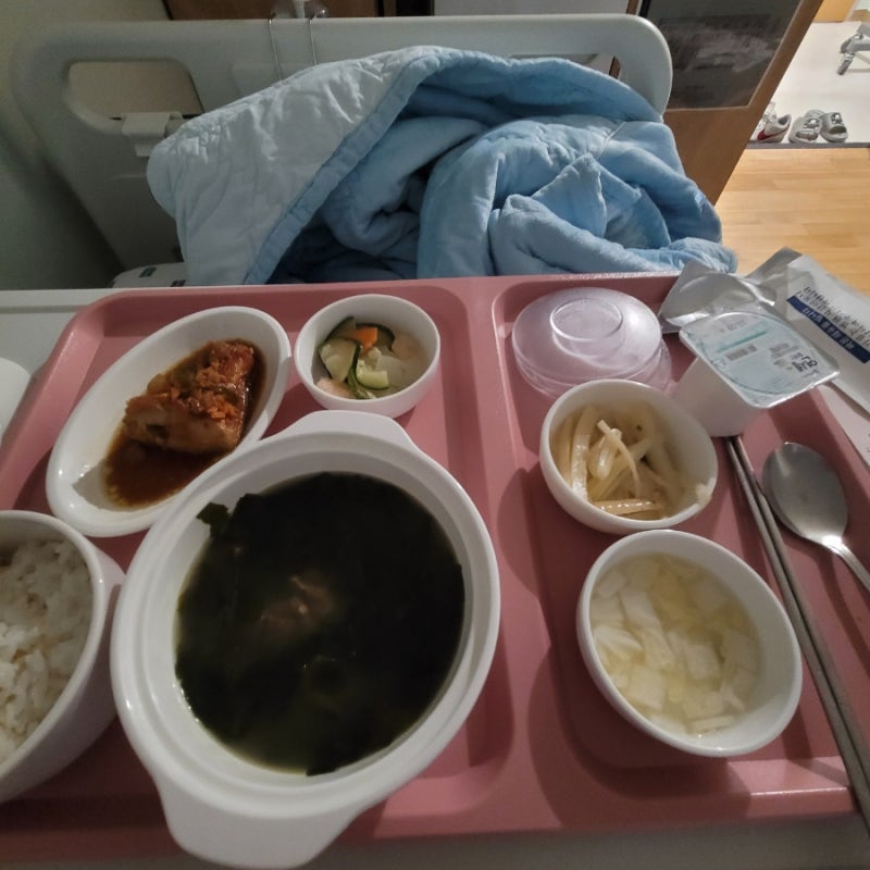 분당차여성병원 제왕절개 퇴원 후기, 분당 엄마손산후조리원 1일차와 새벽 젖몸살