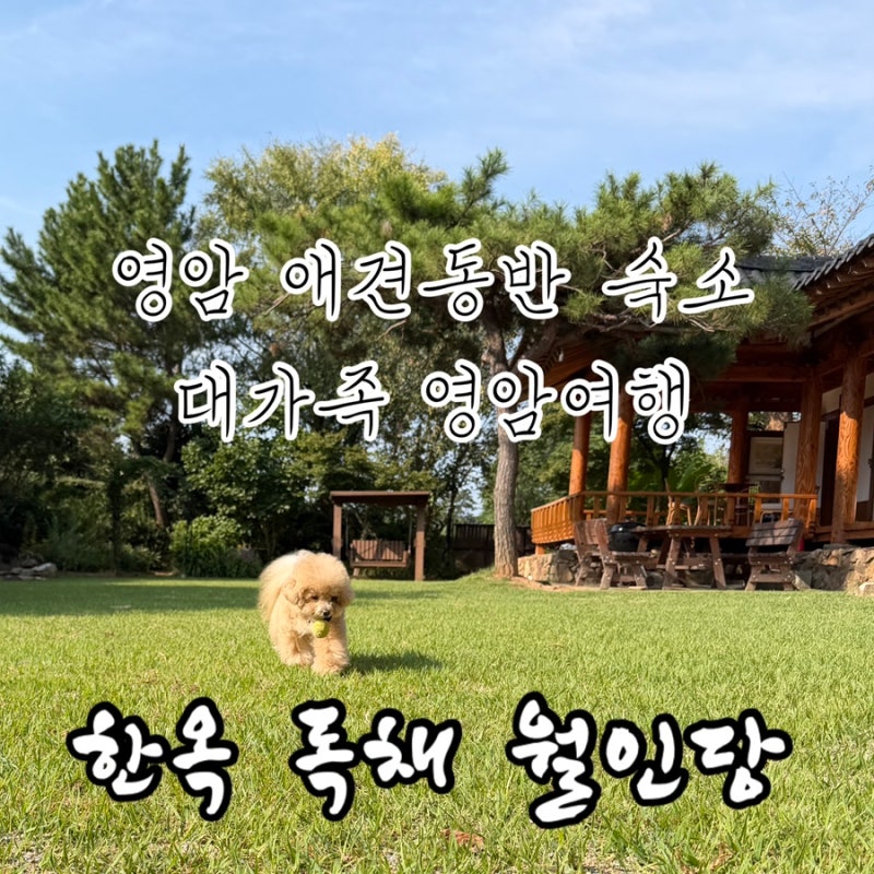 영암 애견동반 숙소 월인당, 한옥 독채 대가족 이용 솔직후기