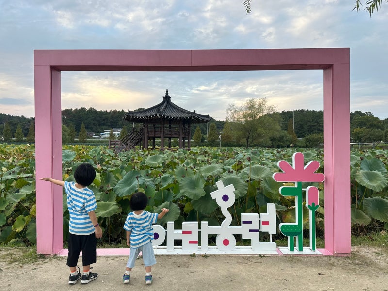 慶南咸安の子供と行ける場所 咸安蓮花テーマパーク 700年アラ紅蓮の旅