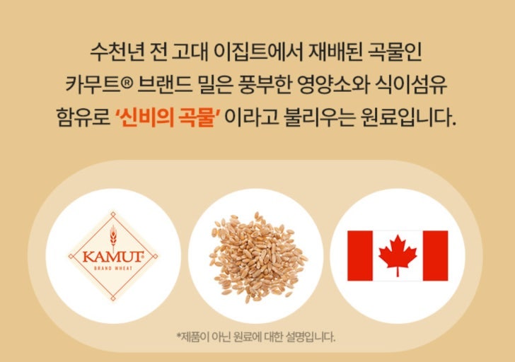 카무트 효소 3개월(90일) 내돈내산 솔직 후기｜역가수치 속임수 구별법·체지방 당도 관리 변....