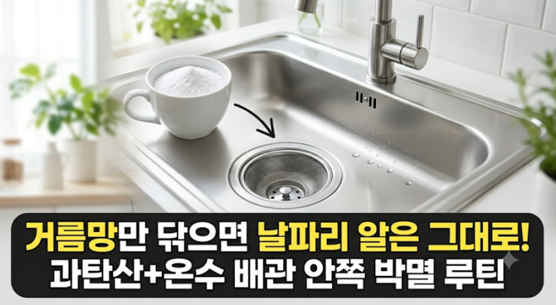 싱크대 거름망만 닦아서는 안 되는 이유, 날파리 알이 숨어 있는 배수관 안쪽 세척법