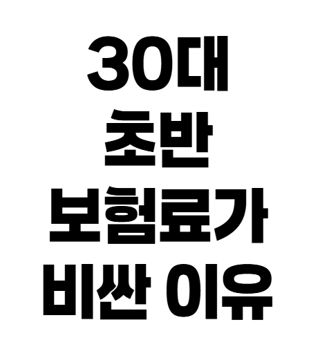 자동차보험 30대라면 꼭 확인해야 할 보험료 결정 기준