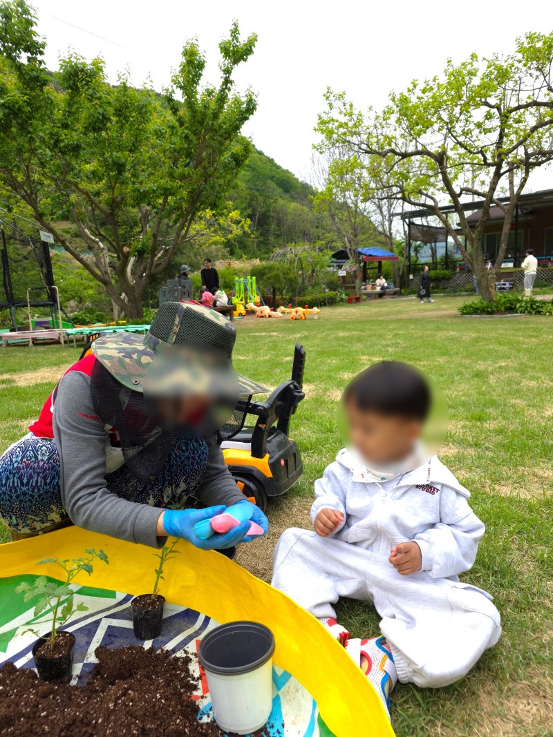 대구 근교 가창 가볼만한 곳 넓은 잔디밭 힐링하우스 자연체험놀이터 어린이날 세 살 아이랑....