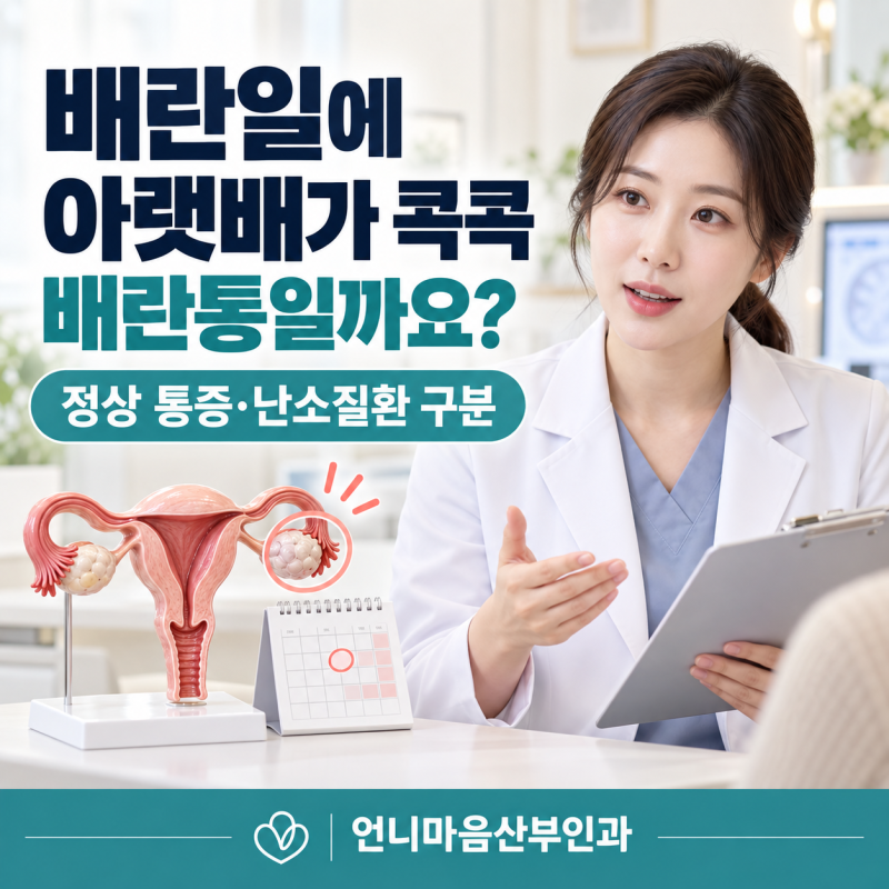배란일에 아랫배가 콕콕 아파요, 정상 배란통과 난소낭종을 구분하는 기준