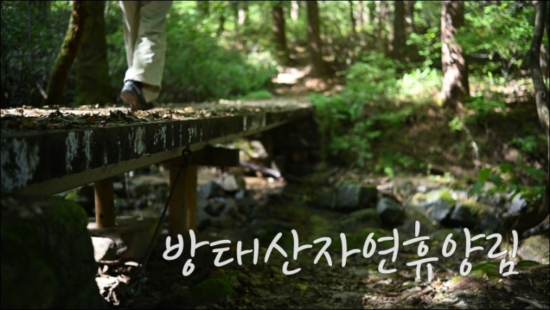 [인제] 방태산자연휴양림 / 127th