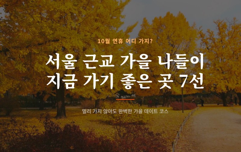 10월 연휴 어디 가지? 서울 근교 가을 나들이 지금 가기 좋은 곳 7곳 추천!