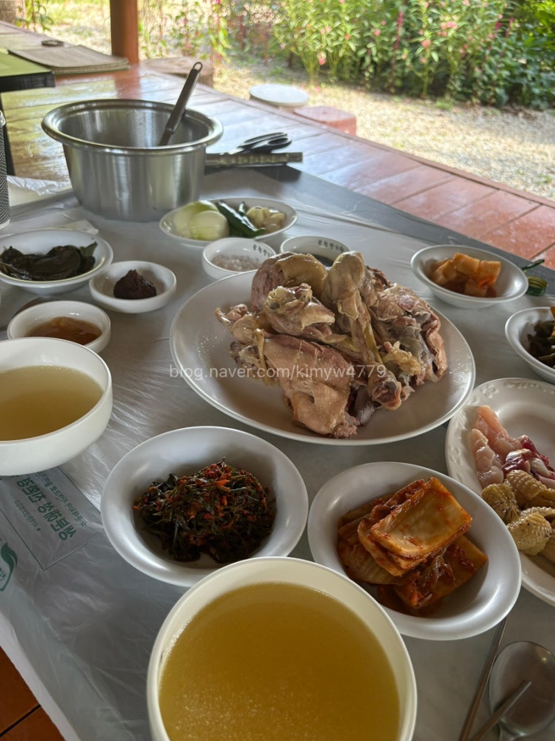 순천 낙안읍성 애견동반 맛집 오금산장 토종 닭백숙 맛집 솔직후기