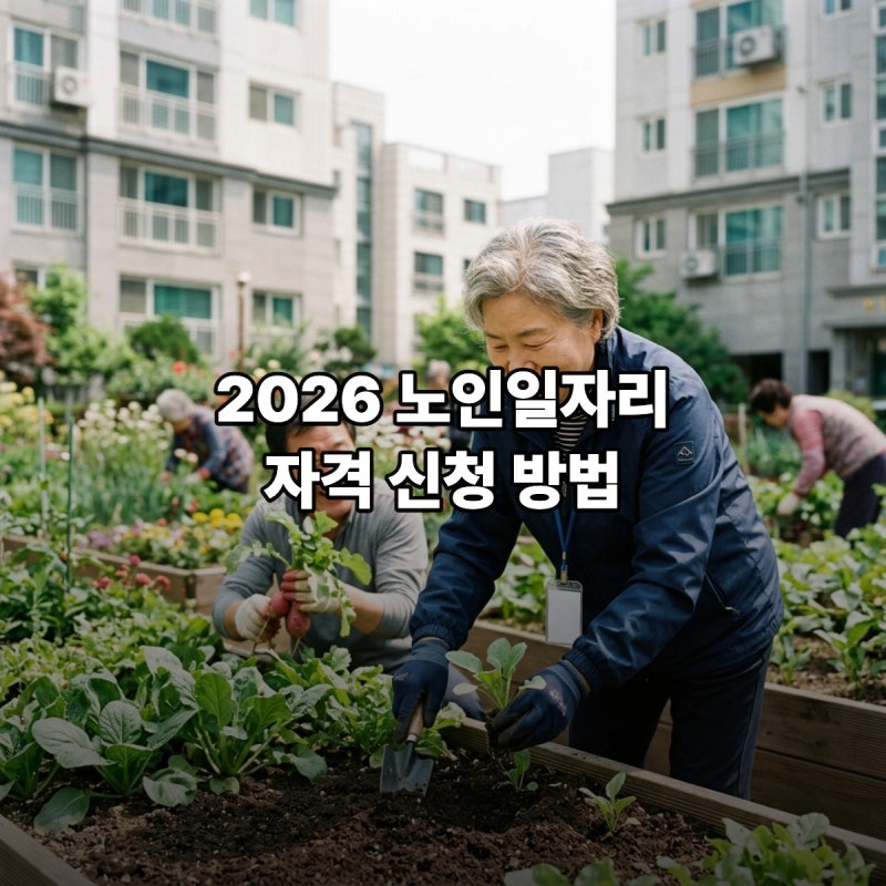 노인일자리 자격 2026 대상별 차이 노인일자리여기 이용방법