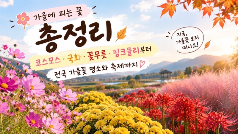 가을에 피는 꽃 총정리｜코스모스·국화·꽃무릇·핑크뮬리부터 전국 가을꽃 명소와 축제까....