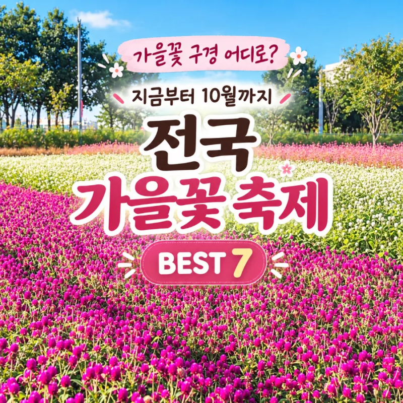 가을 꽃구경 어디로? 지금부터 10월까지 2026 전국 가을꽃축제 BEST 7