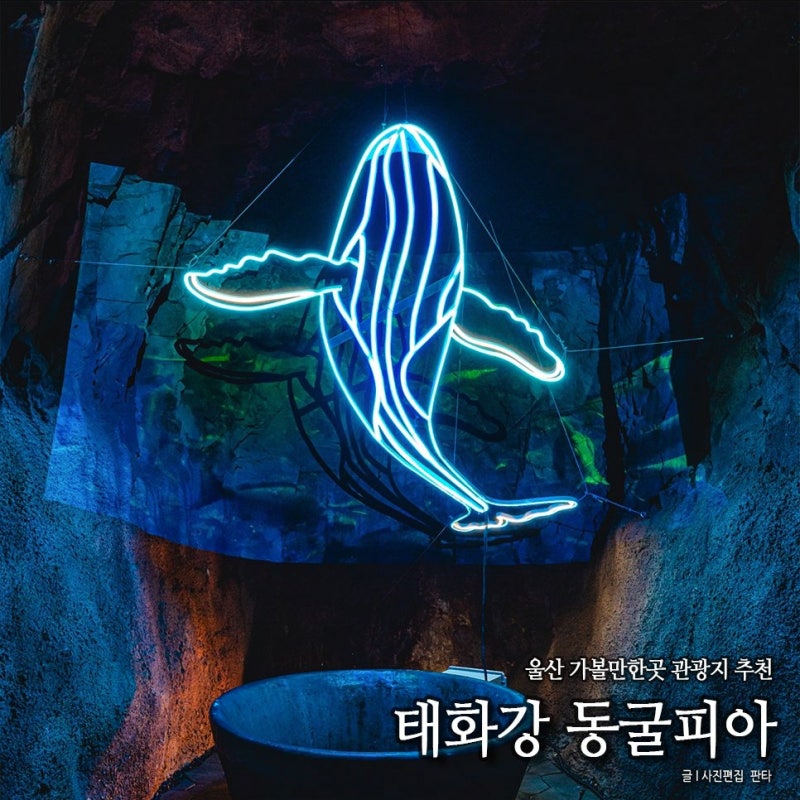 울산 태화강동굴피아 관광지 울산 실내 가볼만한곳 울산 아이랑 가볼만한곳