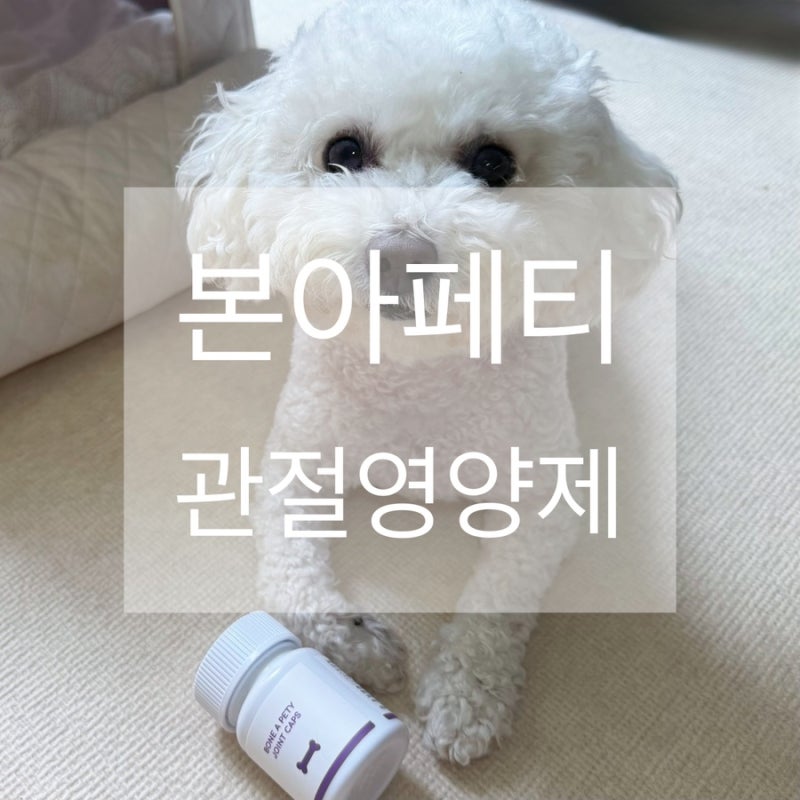 제품 리뷰 본아페티 강아지 슬개골 영양제 관절건강