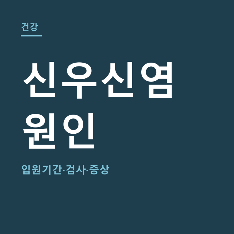 신우신염 원인 총정리 (+입원기간, 검사, 증상)