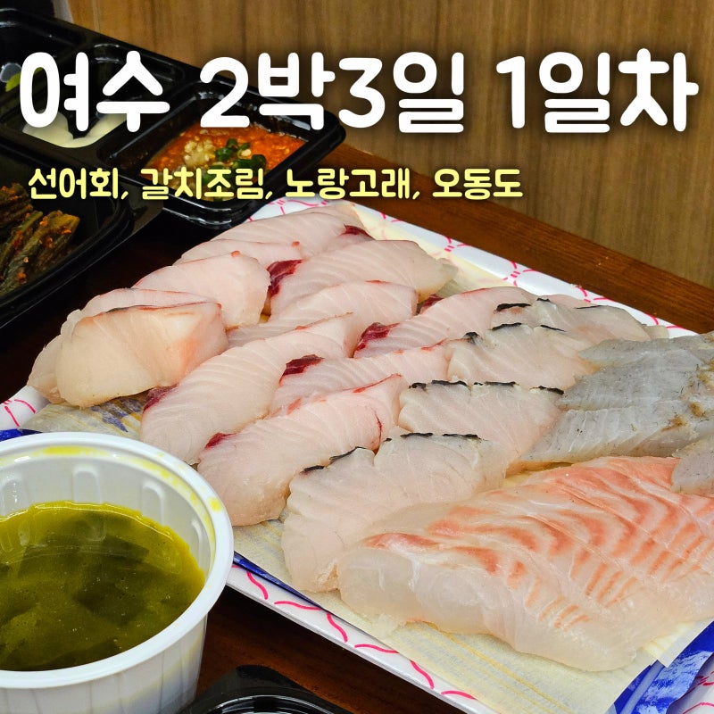 여수 2박3일 뚜벅이 여행 코스 1일차 | 노랑고래, 갈치조림기똥차게맛있는집, 오동도, 어풍선....