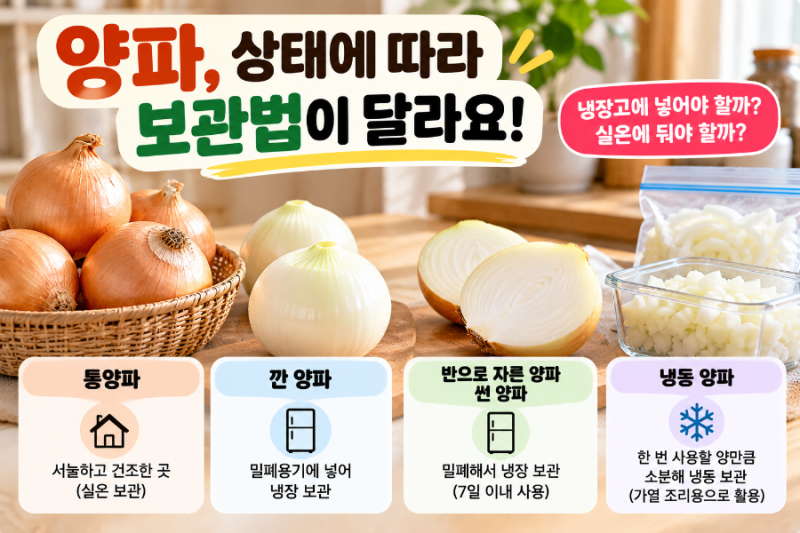 양파 냉장고에 넣어야 할까? 통양파·깐 양파·썬 양파 보관법 차이