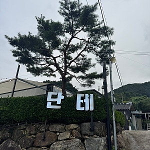 구례 내돈내산 블루리본 바베큐맛집 ‘단테 텍사스바베큐’