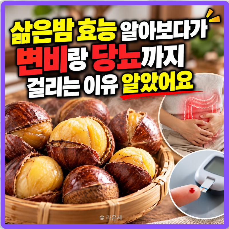 삶은밤 효능 알아보다가 변비랑 당뇨까지 걸리는 이유 알았어요