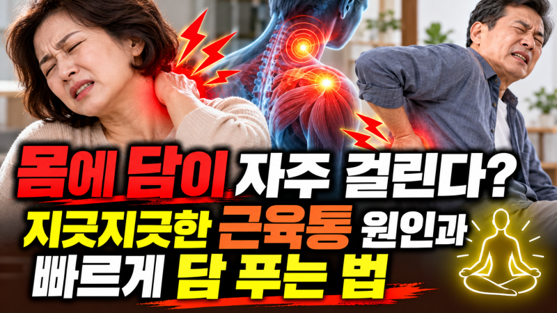 몸에 담이 자주 걸린다? 지긋지긋한 근육통 원인과 빠르게 담 푸는 법 ♀️