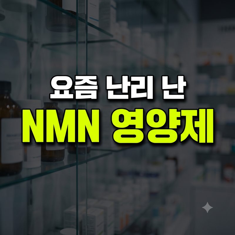 요즘 난리 난 NMN 영양제 추천 순위 BEST 4, 내돈내산 전에 이것만 보세요!