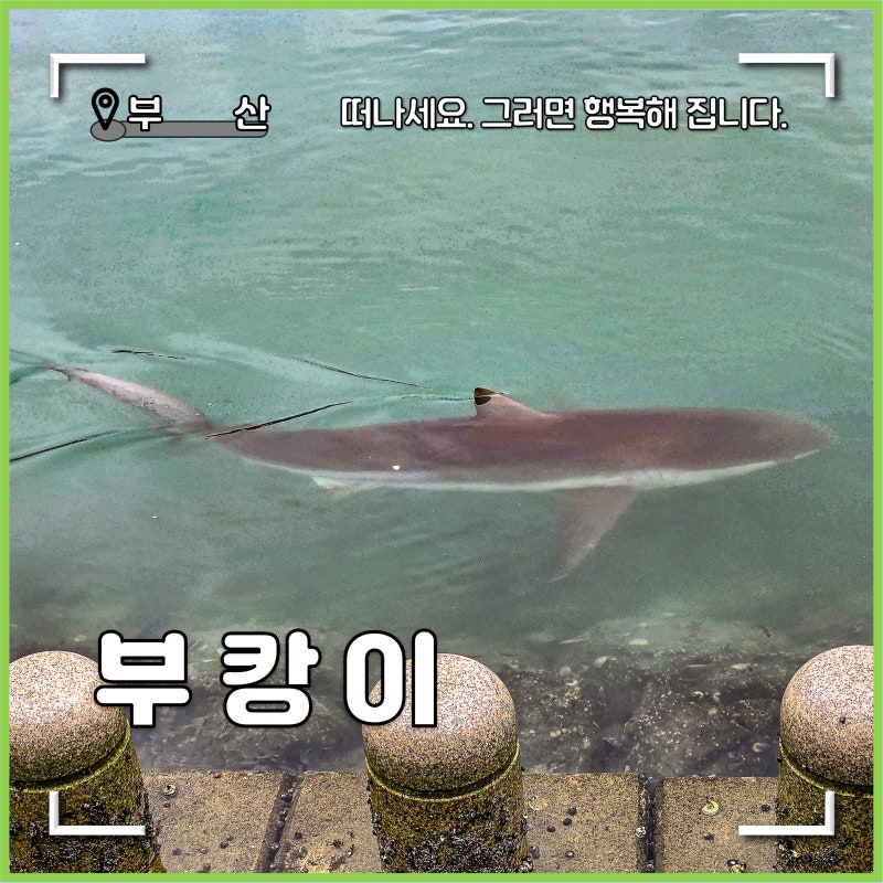 Busan Attractions: Bukhang Waterfront Park, Meeting Bukang-i