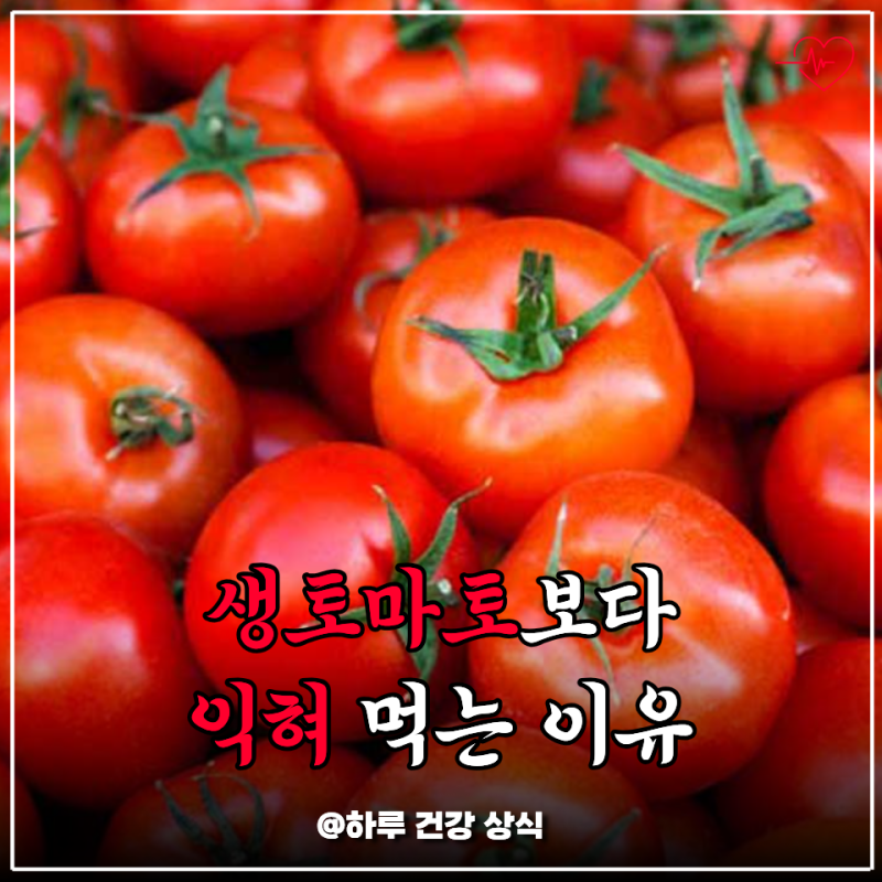 토마토 효능, 생으로 먹다 익혀 먹었더니 당뇨 수치까지 달라진 이유
