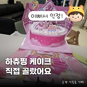 뚜레쥬르 하츄핑 케이크 5살 생일 솔직 후기! 하트 프린세스 39,000원, 맛 (하츄핑 영상편지)