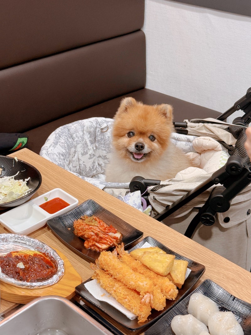 속초대게찜 맛집 팔도대게찜, 애견동반 가능한 속초대게맛집