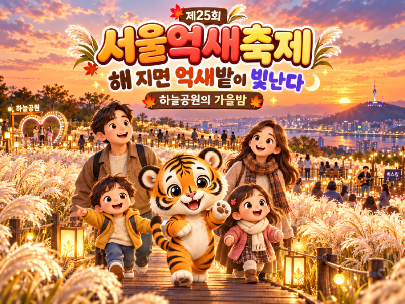 해 지면 억새밭이 빛난다｜제25회 서울억새축제 하늘공원의 가을밤