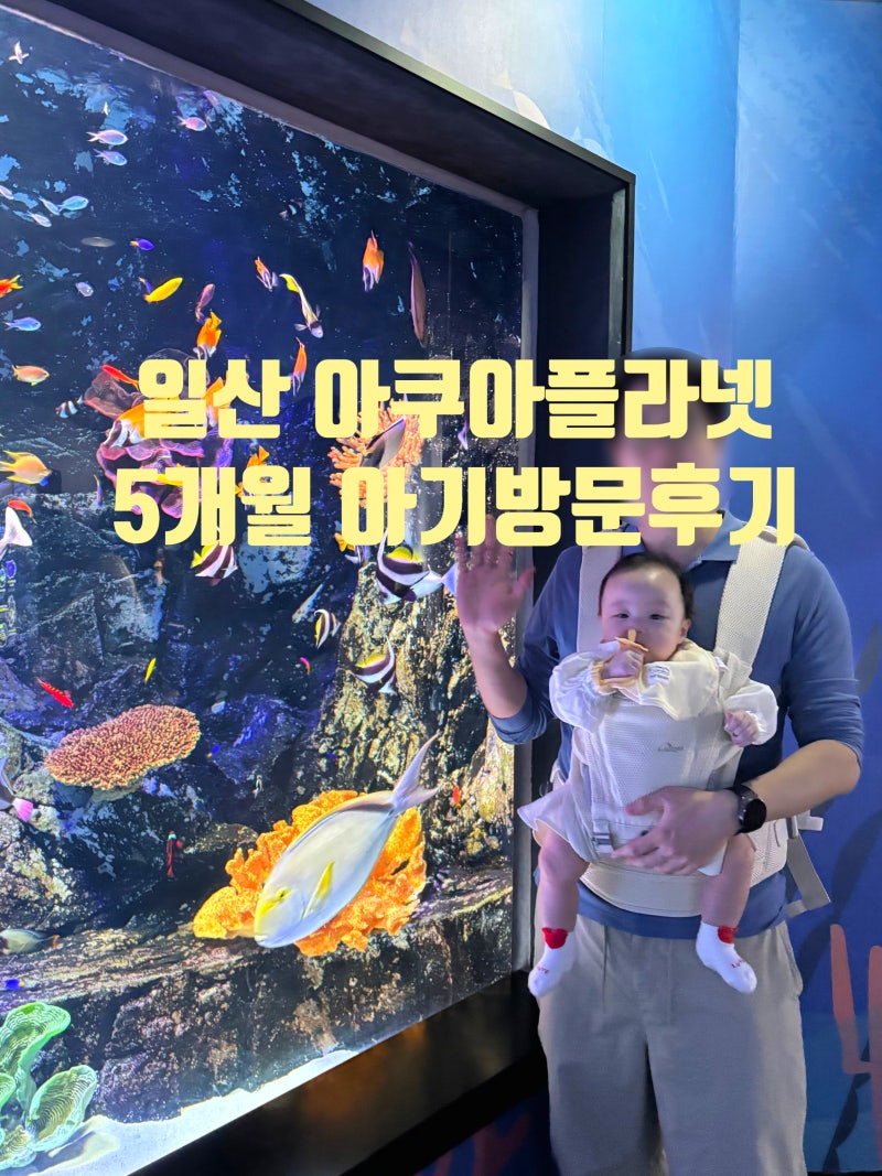 아쿠아플라넷 일산 5개월 아기랑 다녀온 후기｜수유실·식당·포토존 추천