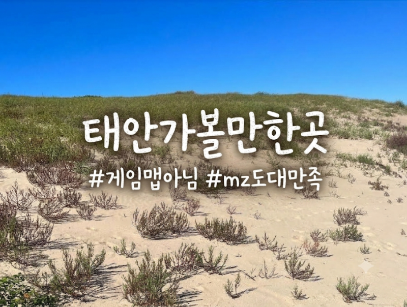 [Taean Travel] Honestly Didn't Expect It: A Visit to Sinduri Coastal Dune, the Real-Life PUBG Desert Map