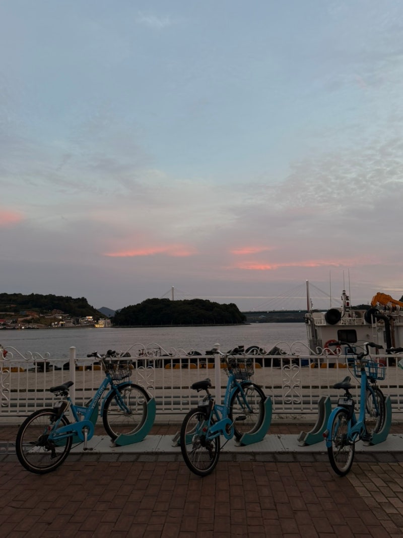 여수 밥집 청하대 , 여수세끼, 엑스포해물삼합⛴️ | 여수 추천 맛집 3곳 | 여수 여행 내돈내....