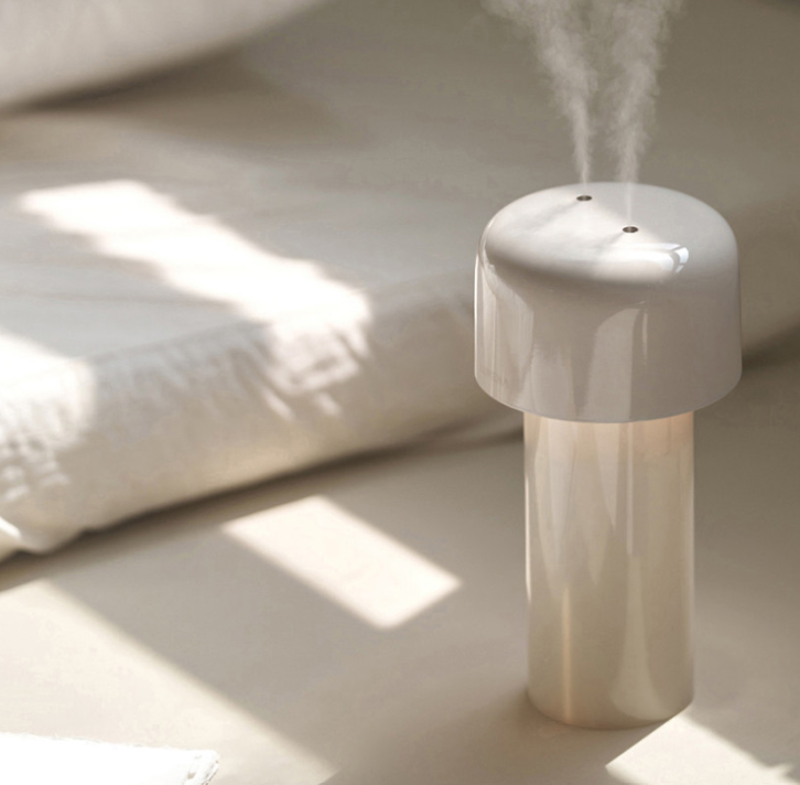 사무실 미니가습기 추천, 루메나와 오아 책상용 무선가습기 비교