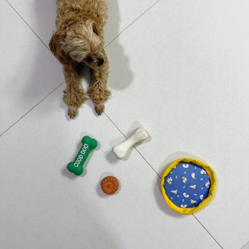 층간소음매트 추천 거실에 깔기 좋은 모아두 TPU 퍼즐매트