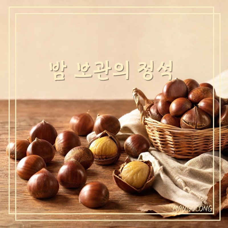 밤 보관법 생밤 냉장 냉동 보관기간 삶은 밤까지 총정리