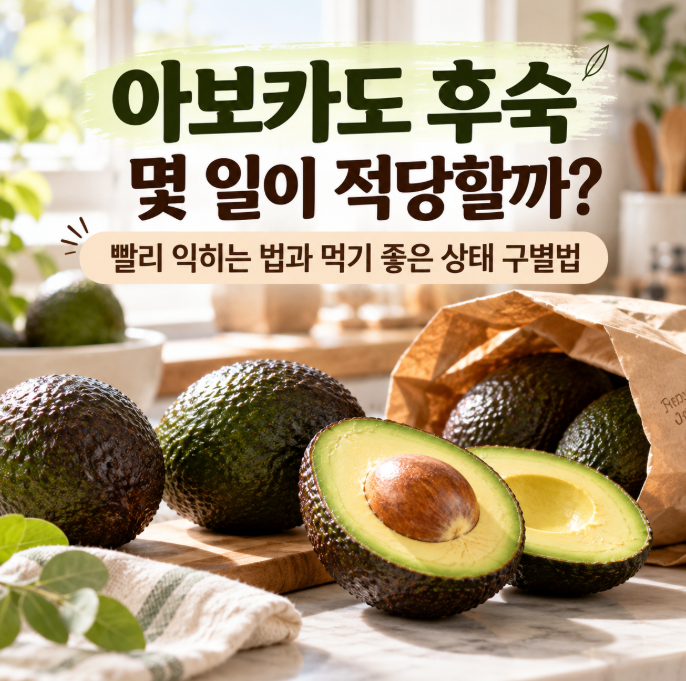아보카도 후숙 몇 일이 적당할까? 빨리 익히는 법과 먹기 좋은 상태 구별법