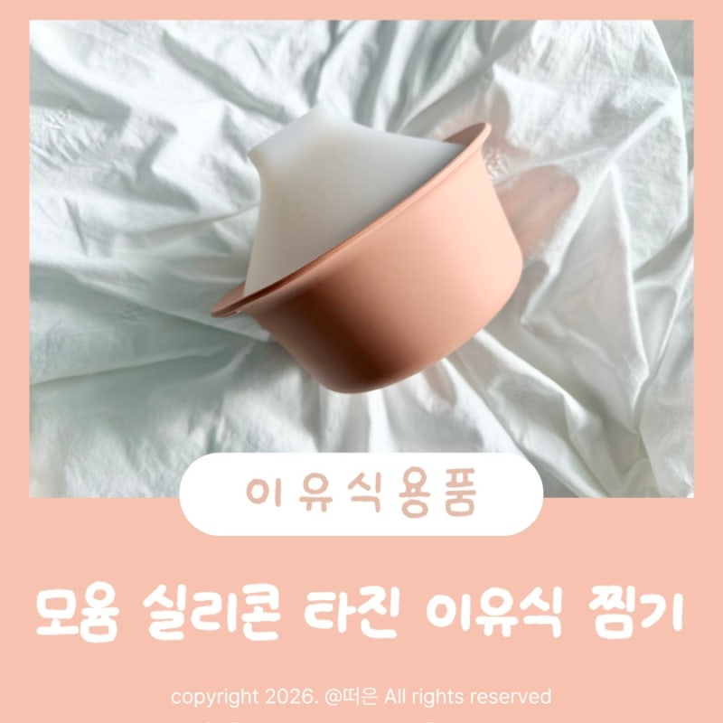 이유식준비물 실리콘찜기 모윰 실리콘 타진 이유식 찜기 사용 후기