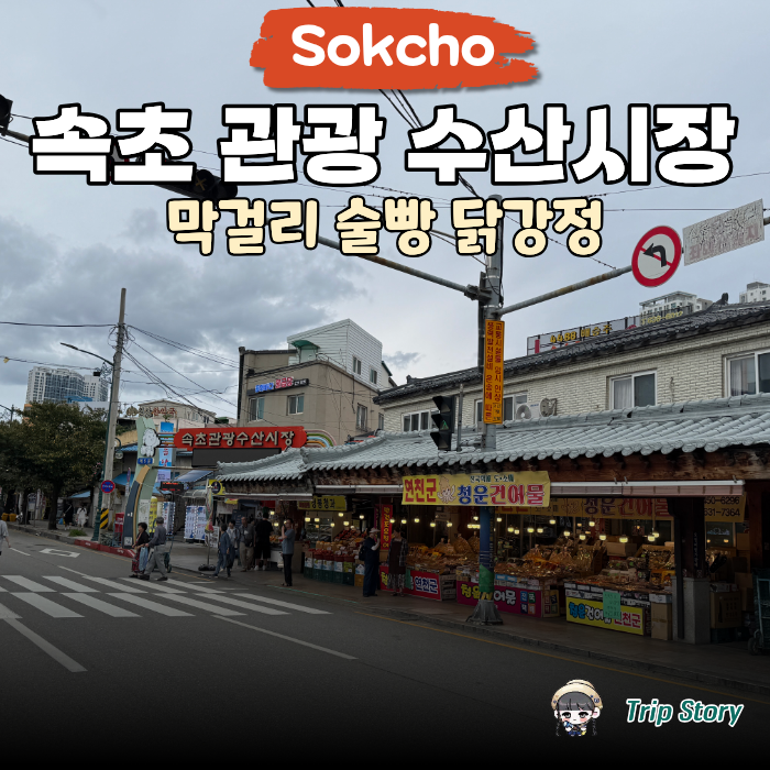 속초 가볼만한 곳 속초 중앙 시장 먹거리 투어